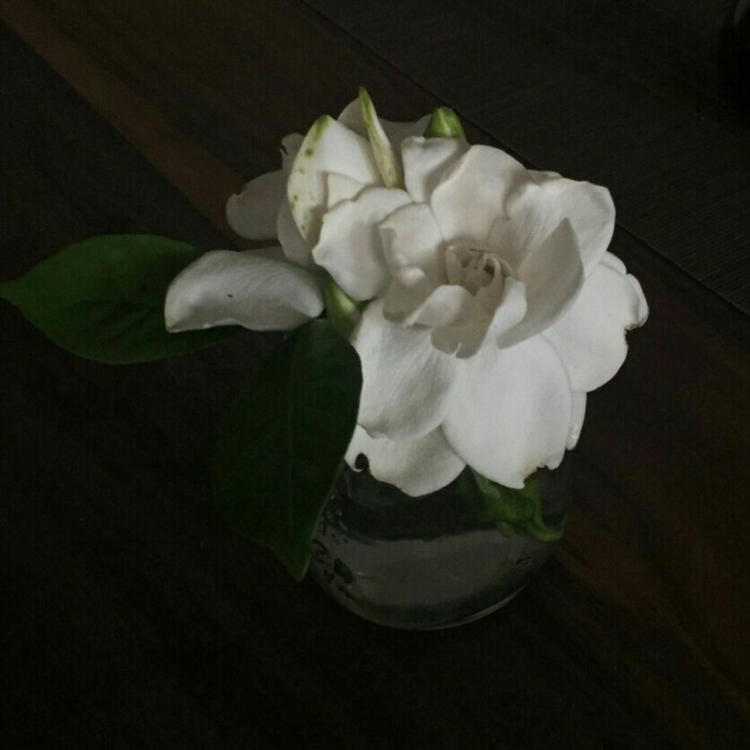 神谷熏（身份：神谷活心流代理师父、女主角） - 辣舞影视网址在线观看21 - 云端视频